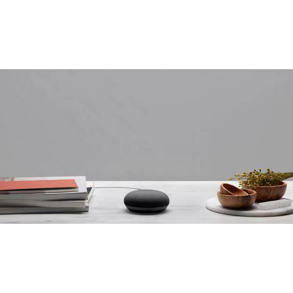 Google Speaker Nest Hub - Per Google Nest Hub Max e