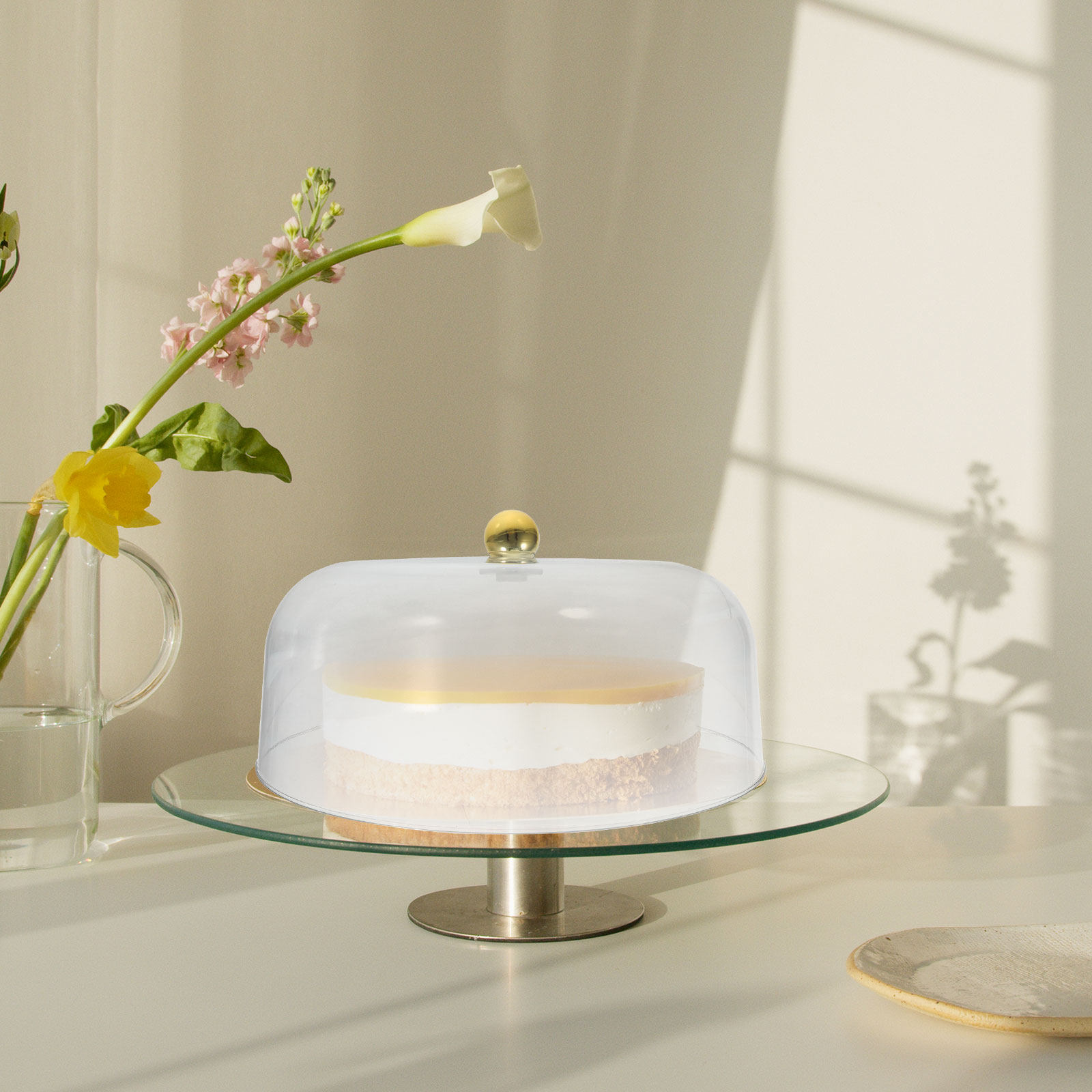 Copertura trasparente in plast - Plastic Dome Clear recensione e prezzo