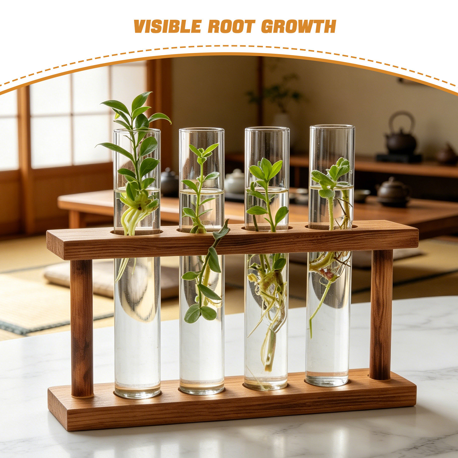 Stazione di Propagazione Piant - Propagation Station Vase recensione e prezzo