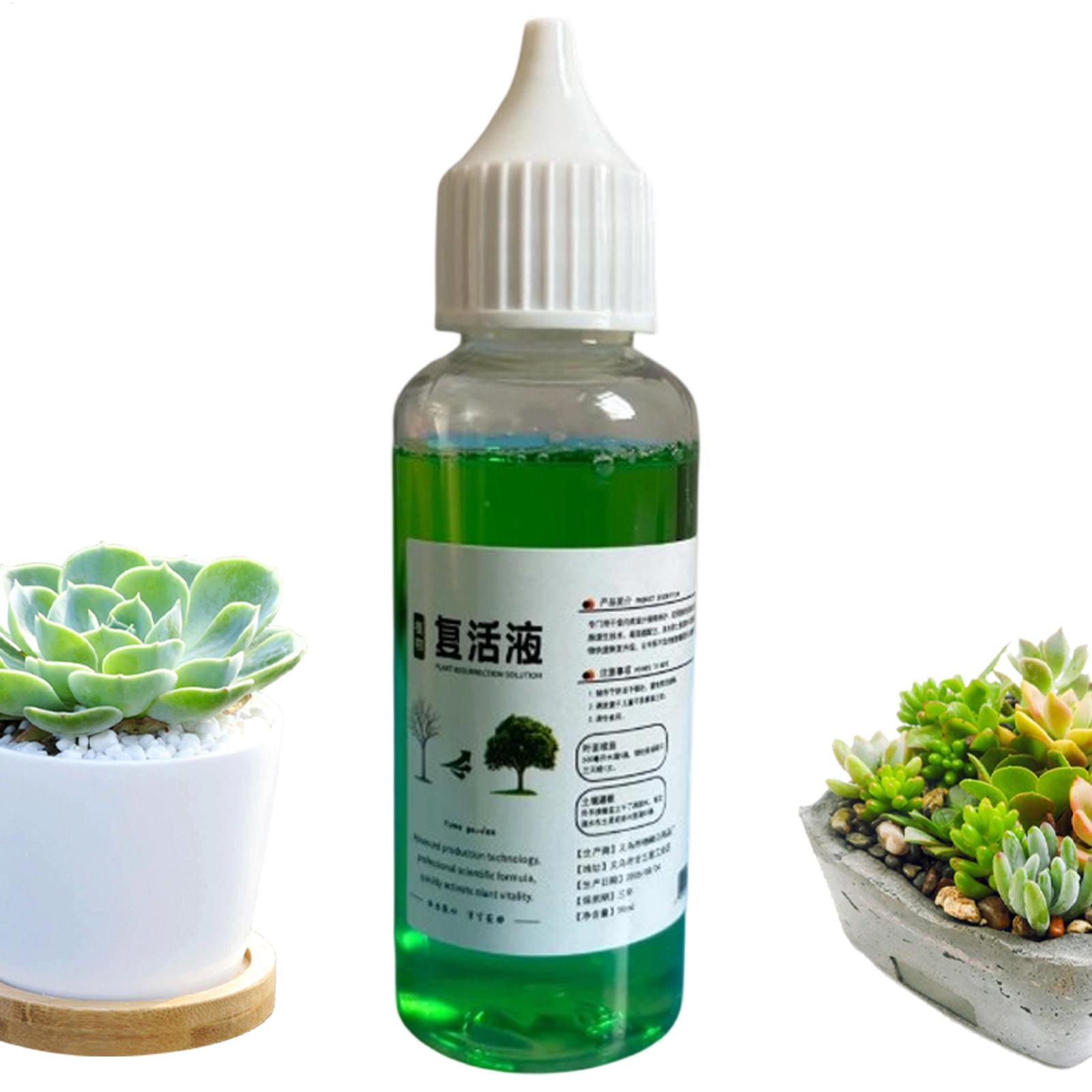 Stimolatore di Radici per Pian - Root Stimulator Liquid recensione e prezzo