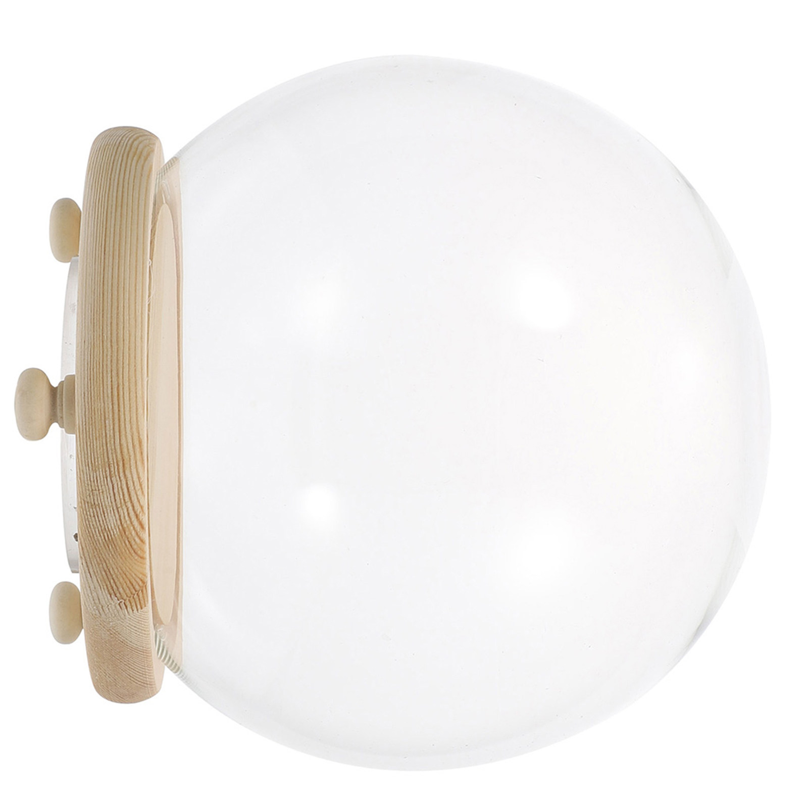 Vetrina Decorativa con Cupola  - Plastic Dome Clear recensione e prezzo