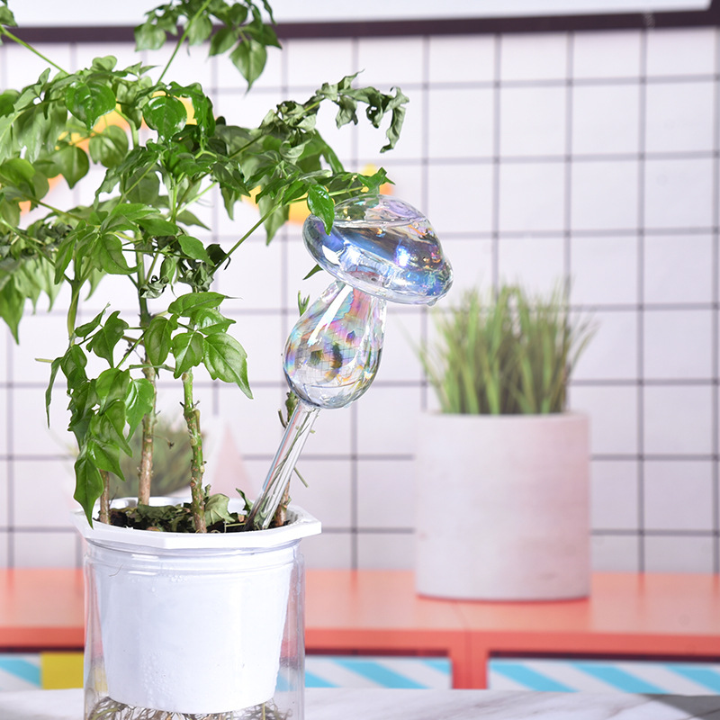 1/2PCS Paglia di vetro Automat - Self Watering Insert recensione e prezzo
