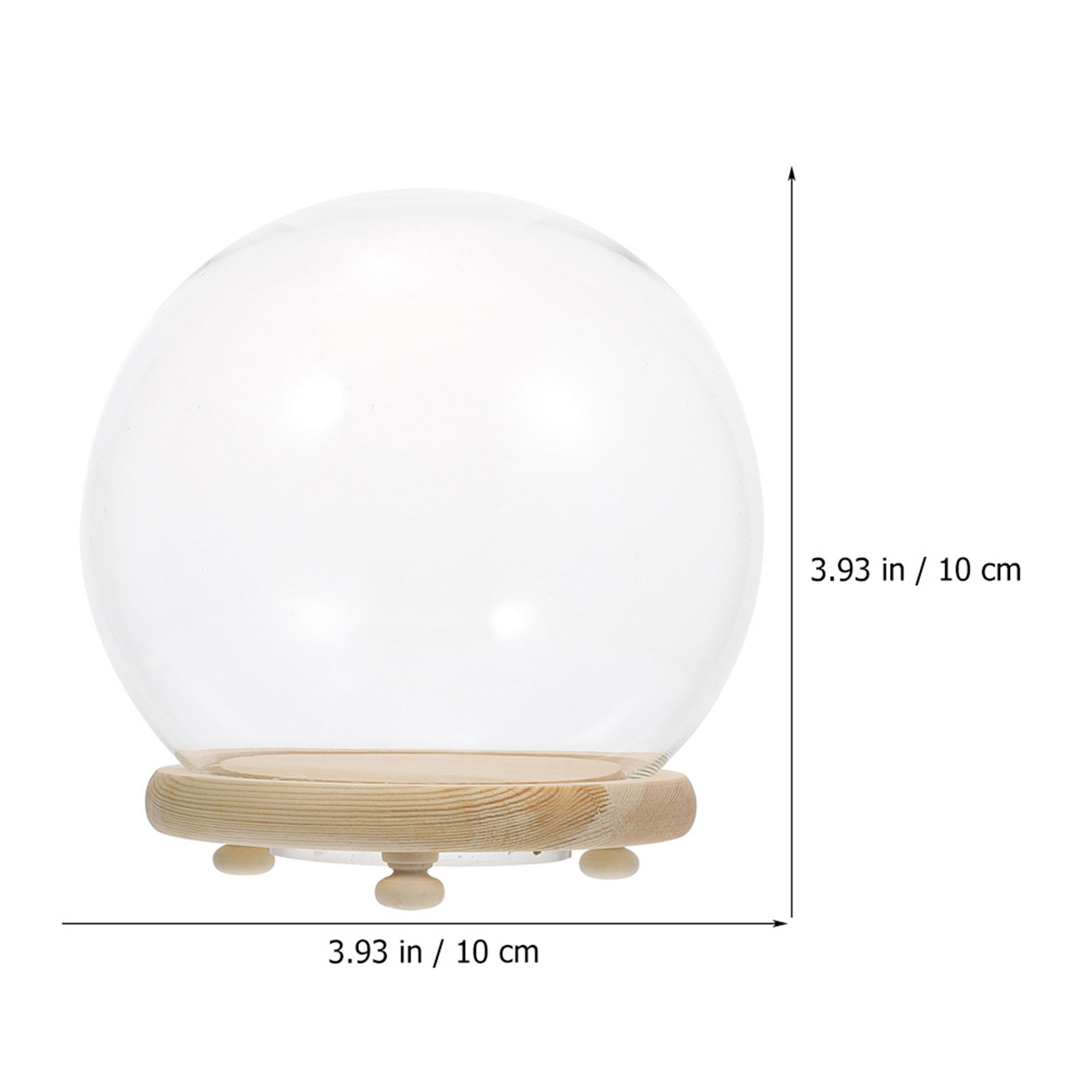 Copertura in Vetro con Base in - Plastic Dome Clear recensione e prezzo