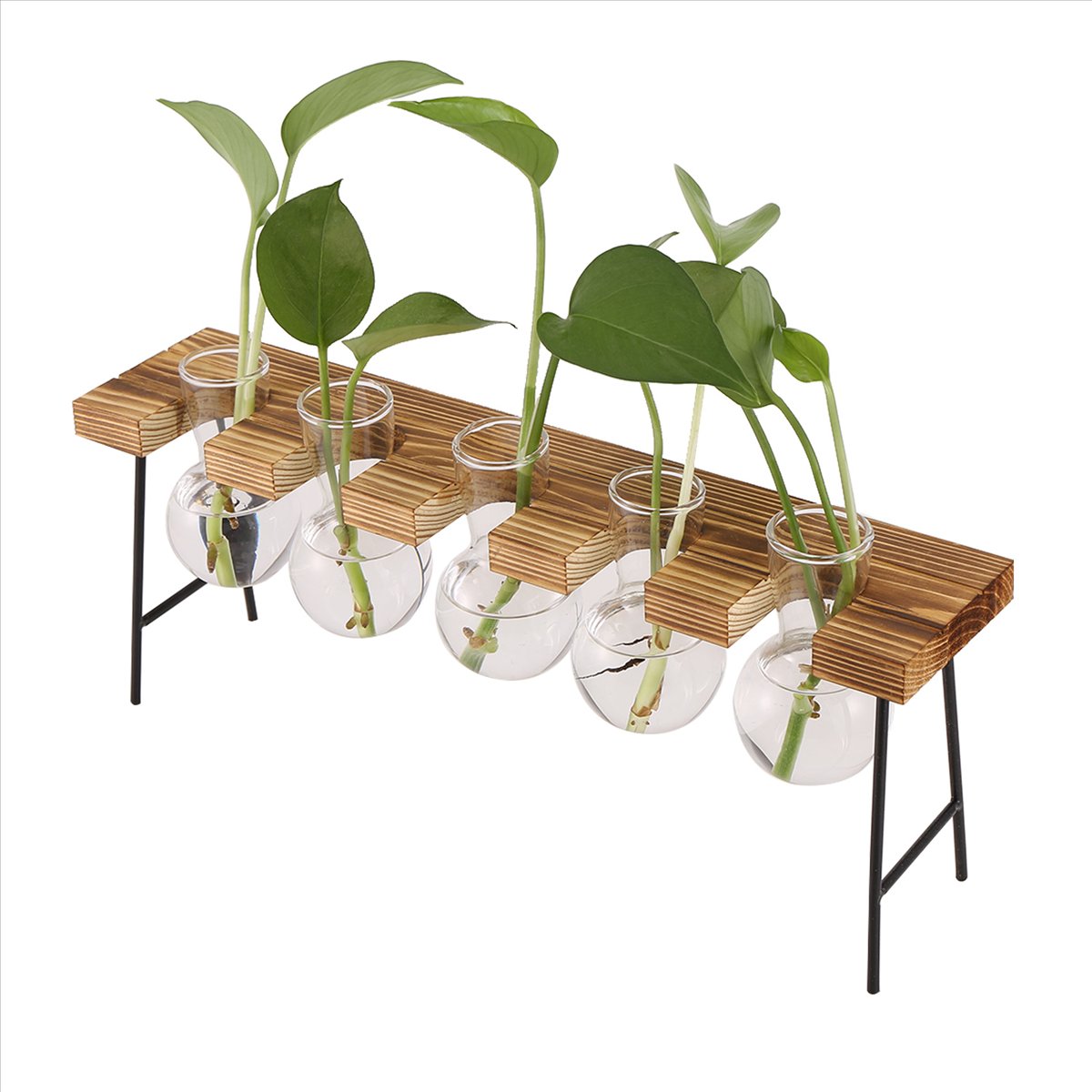 Stazioni di Propagazione ABFS, - Propagation Station Vase recensione e prezzo