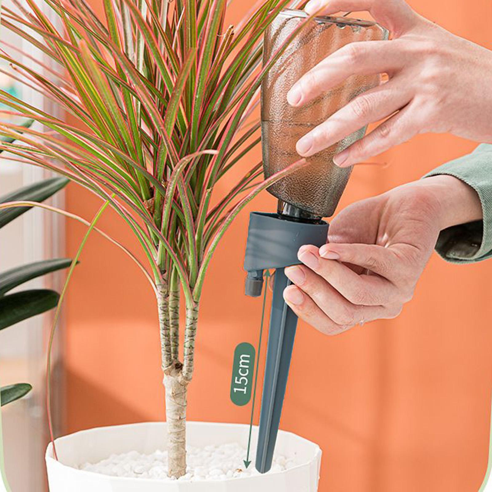 Set di 6 Irrigatori Automatici - Self Watering Insert recensione e prezzo