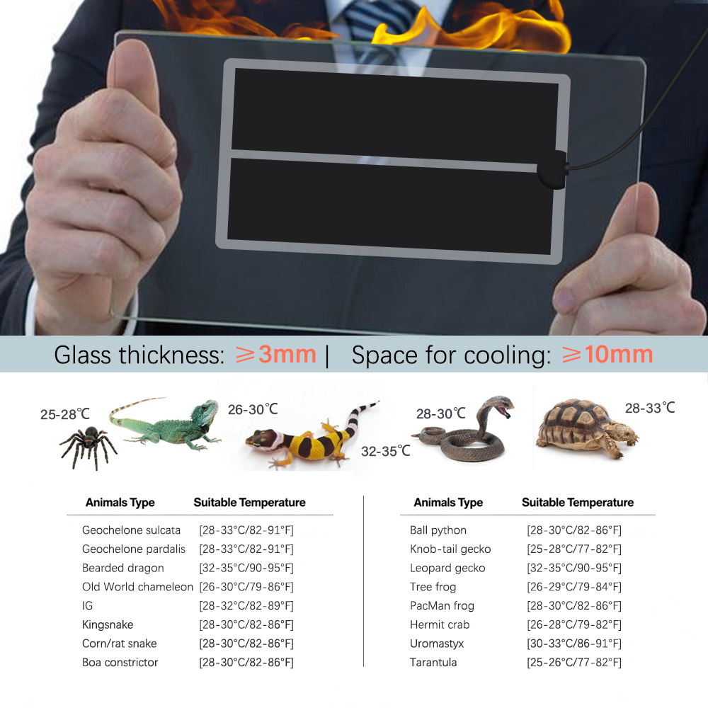 45W-5W 2/4/6H Timing Pet Tappe - Heat Mat Seedling recensione e prezzo