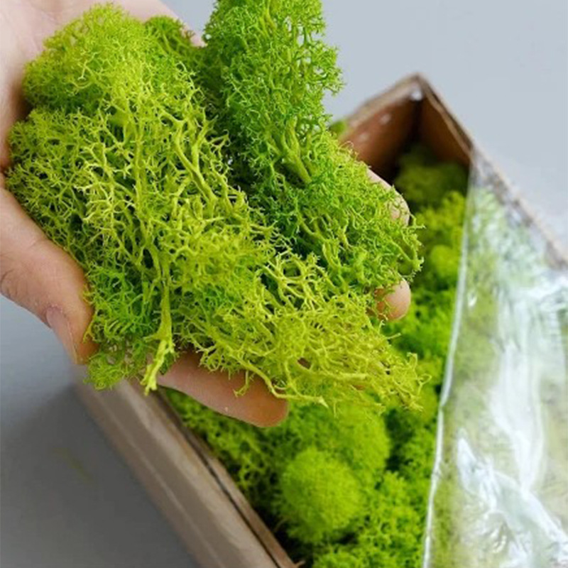 Piante verdi artificiali Vita  - Sphagnum Moss Dry recensione e prezzo