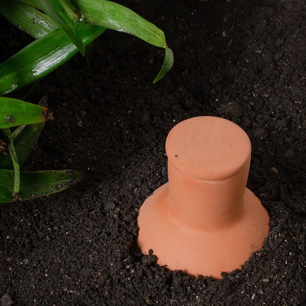 Set di 4 Irrigatori Automatici - Self Watering Insert recensione e prezzo