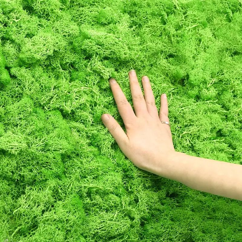 Piante Verdi Artificiali, Musc - Sphagnum Moss Dry recensione e prezzo